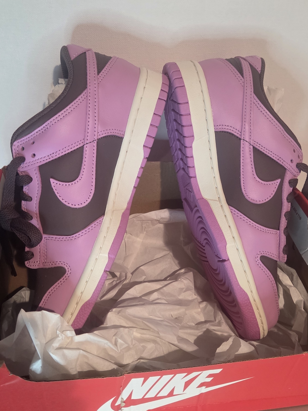 Nike Women's Dunk Low in Pink and Dark Brown.